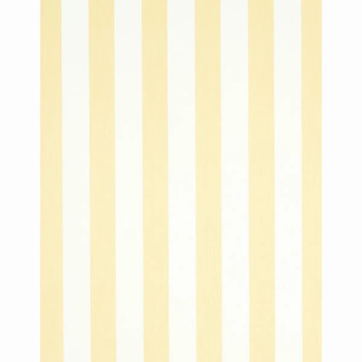 EDWIN STRIPE WIDE_ BUTTERCUP