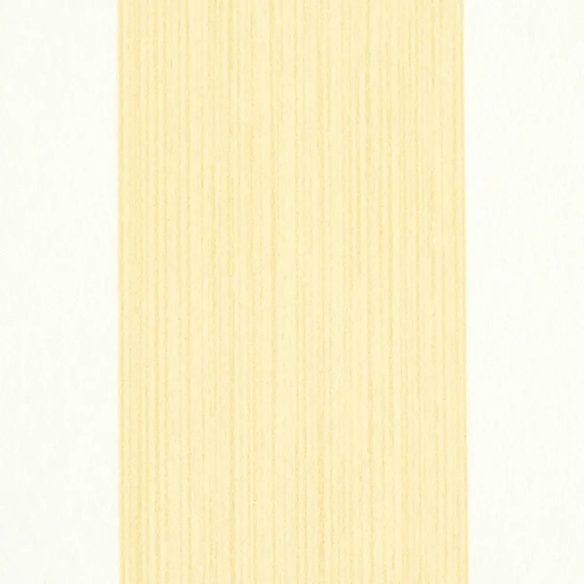 EDWIN STRIPE WIDE_ BUTTERCUP