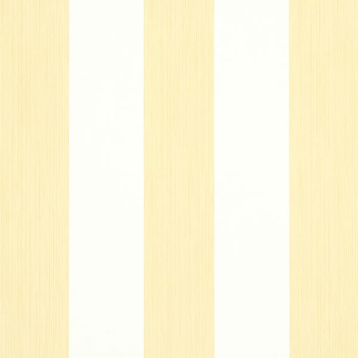 EDWIN STRIPE WIDE_ BUTTERCUP