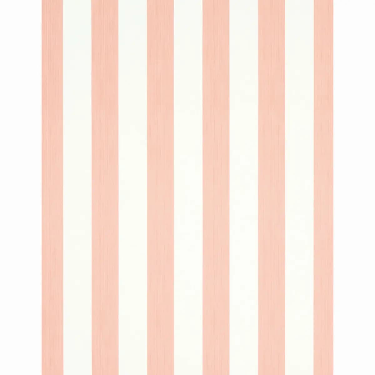 EDWIN STRIPE WIDE_ PINK