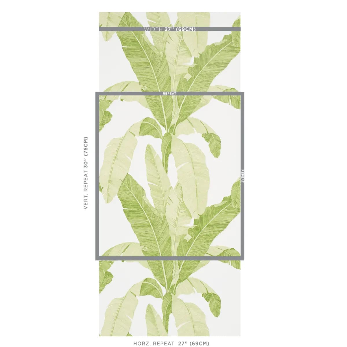 ERISIMO_ LEAF