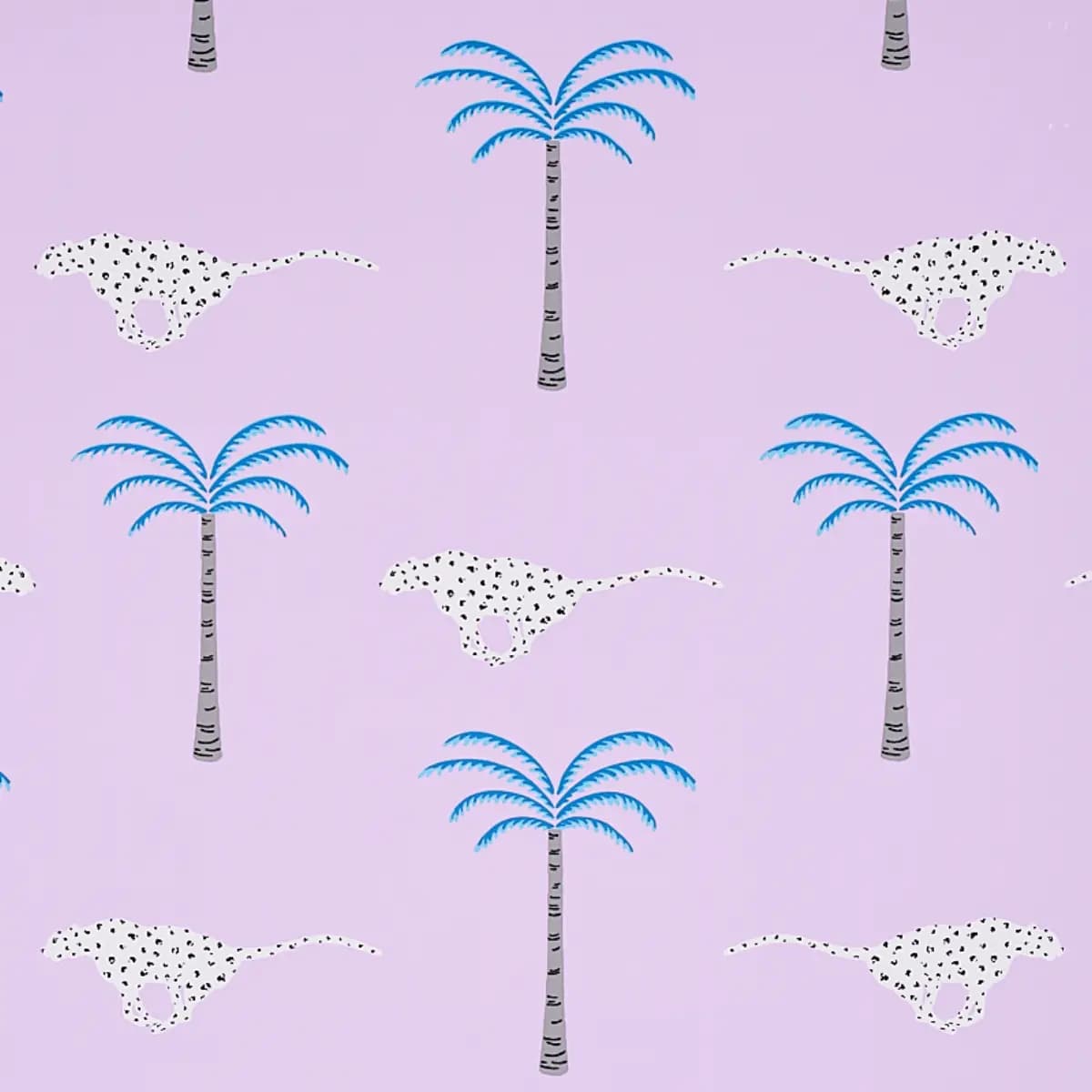 A Wild Desert Dream_ ORCHID