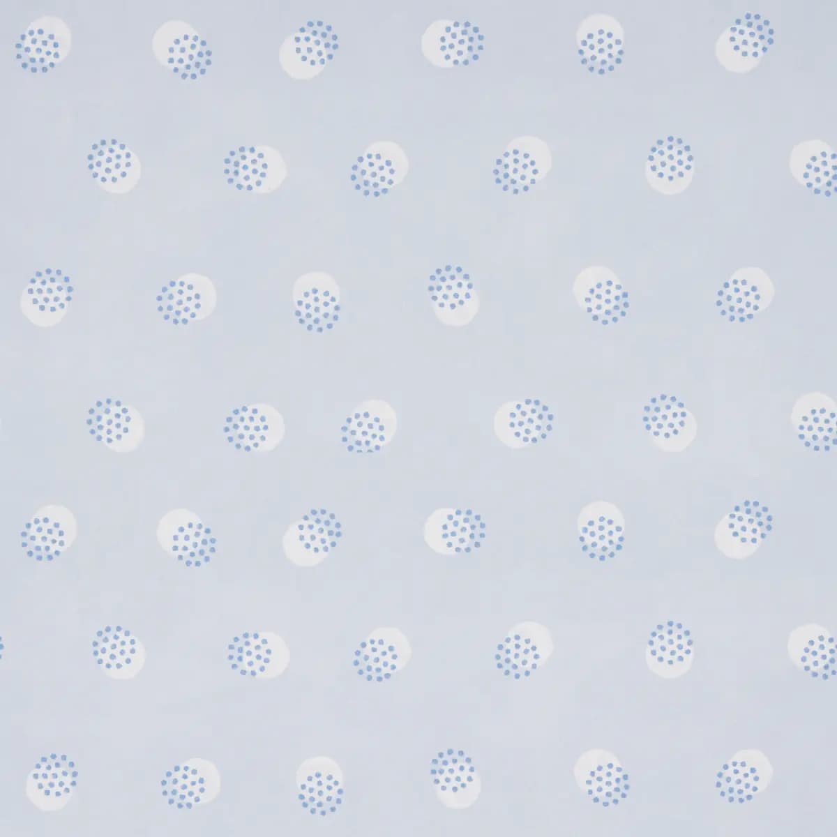TAYLOR_ BLUES