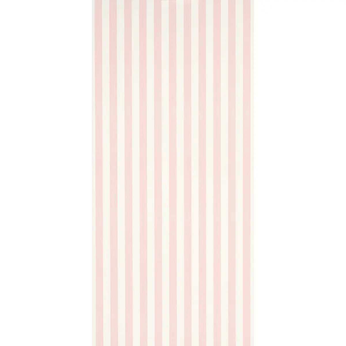 EDWIN STRIPE MEDIUM_ PETAL