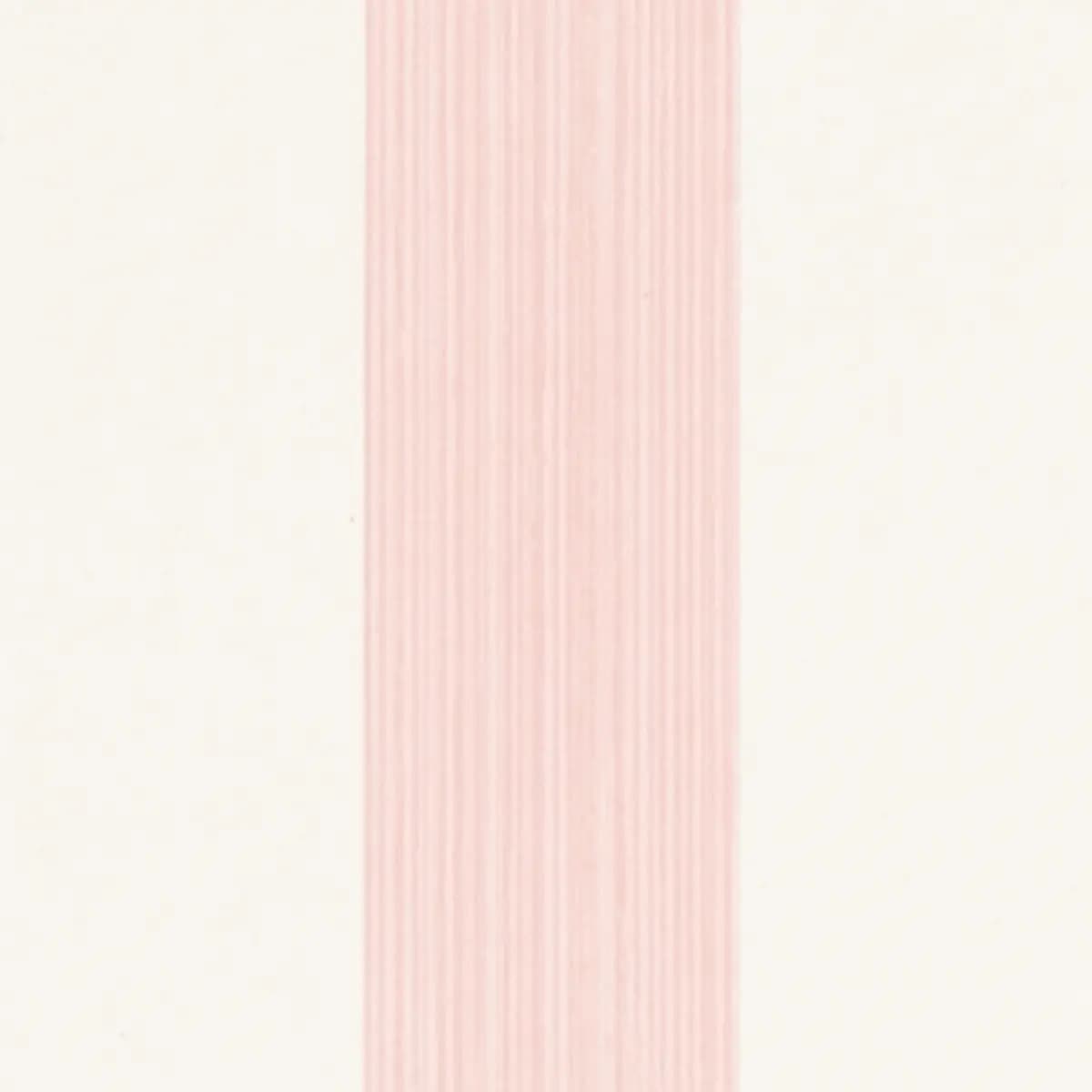 EDWIN STRIPE MEDIUM_ PETAL