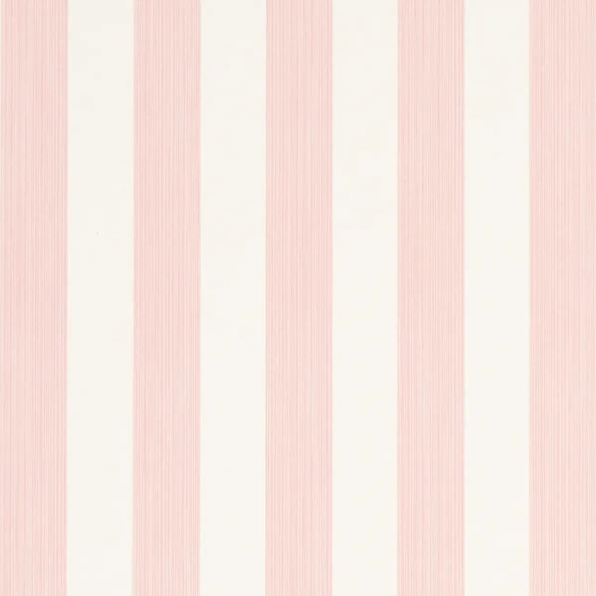 EDWIN STRIPE MEDIUM_ PETAL