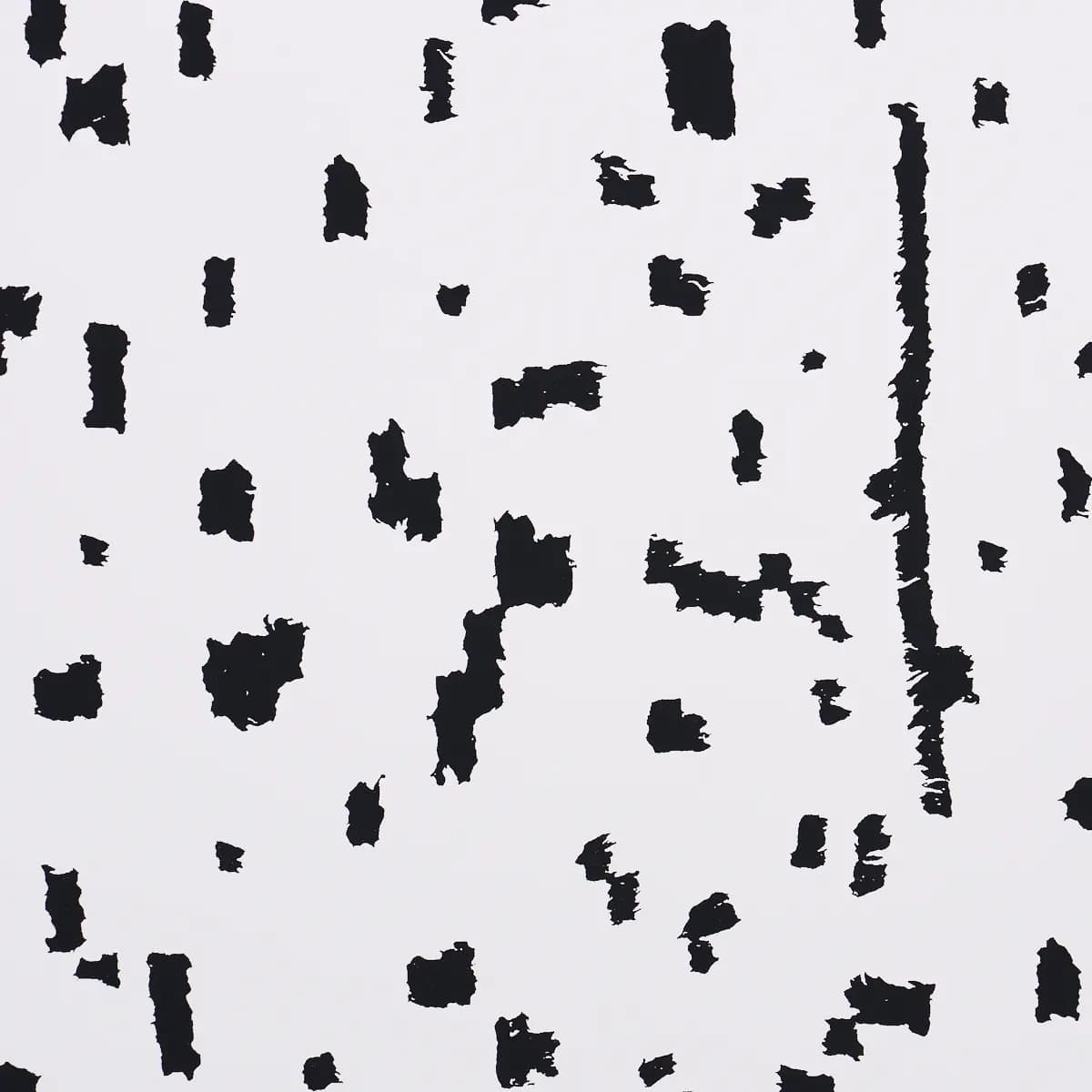 BESPOTTED_ BLACK