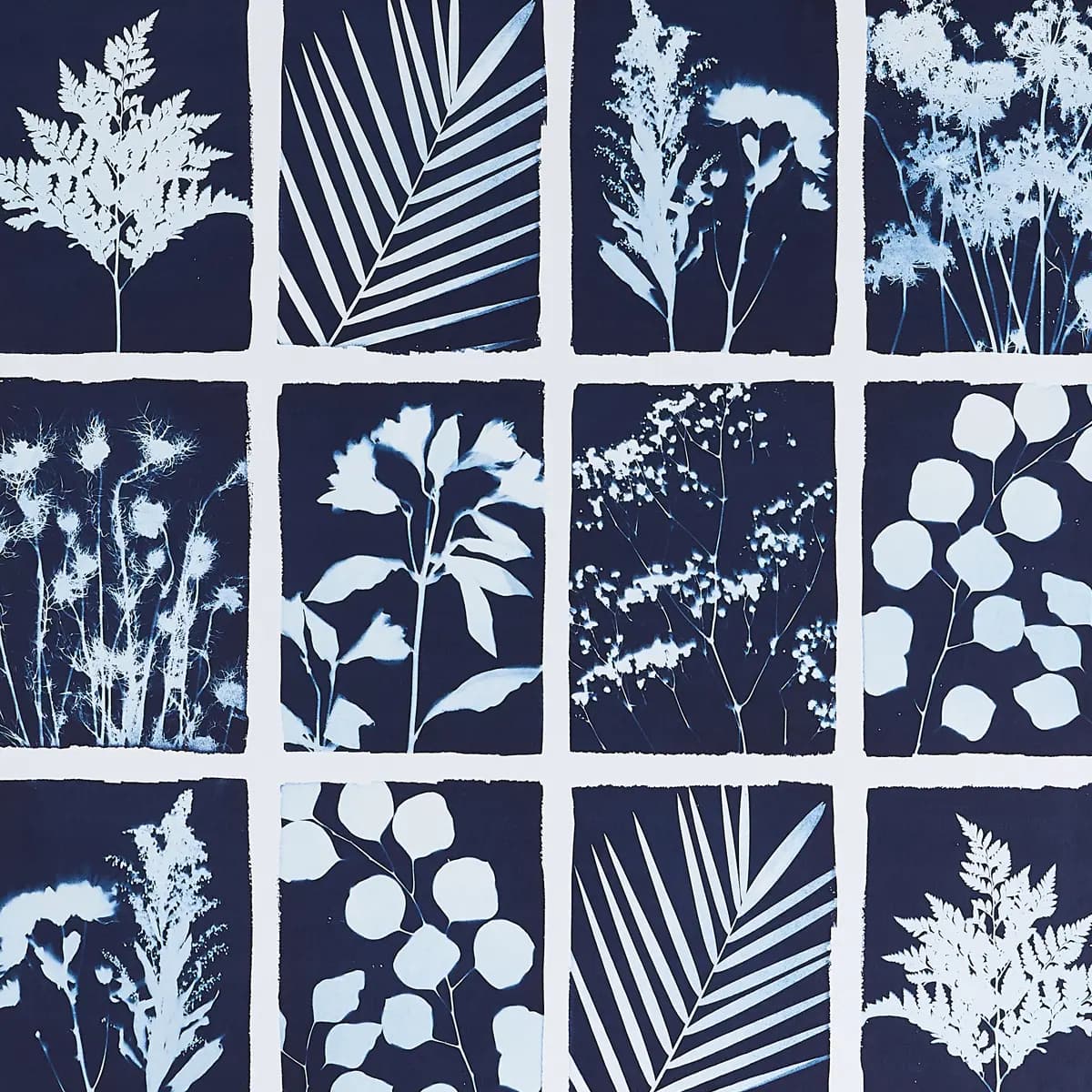 CYANOTYPE PANEL_ INDIGO