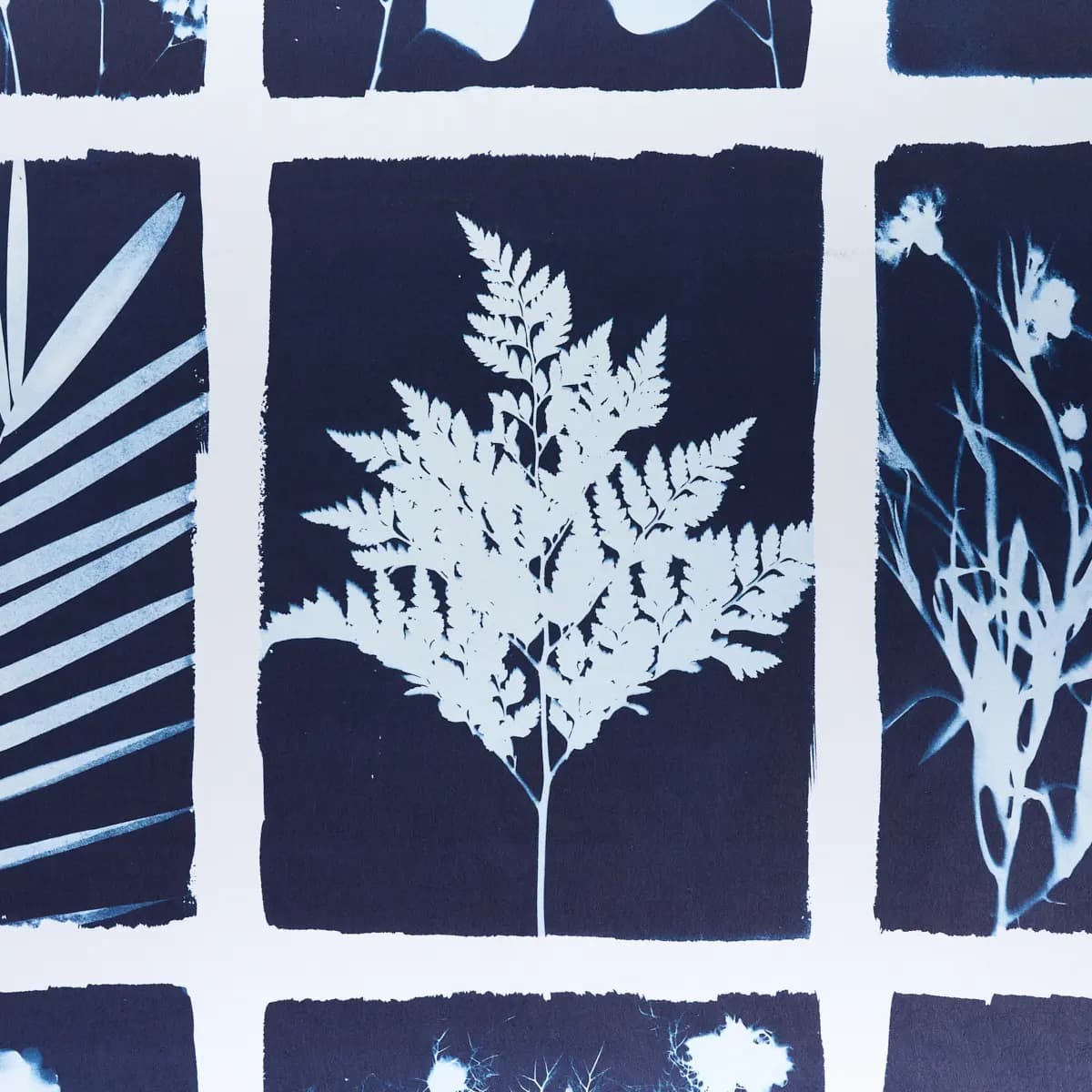 CYANOTYPE PANEL_ INDIGO