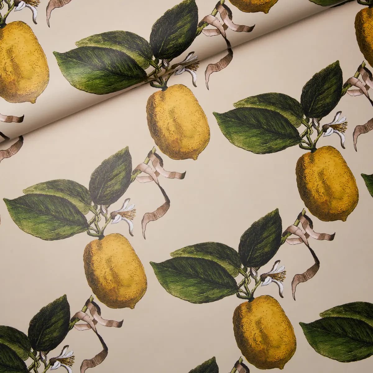 LE CITRON_ NATURAL