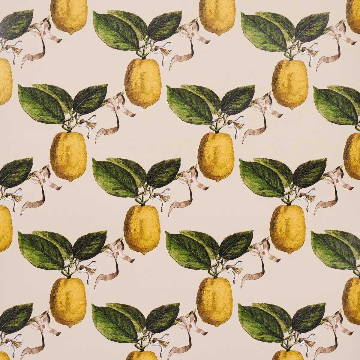 LE CITRON_ NATURAL