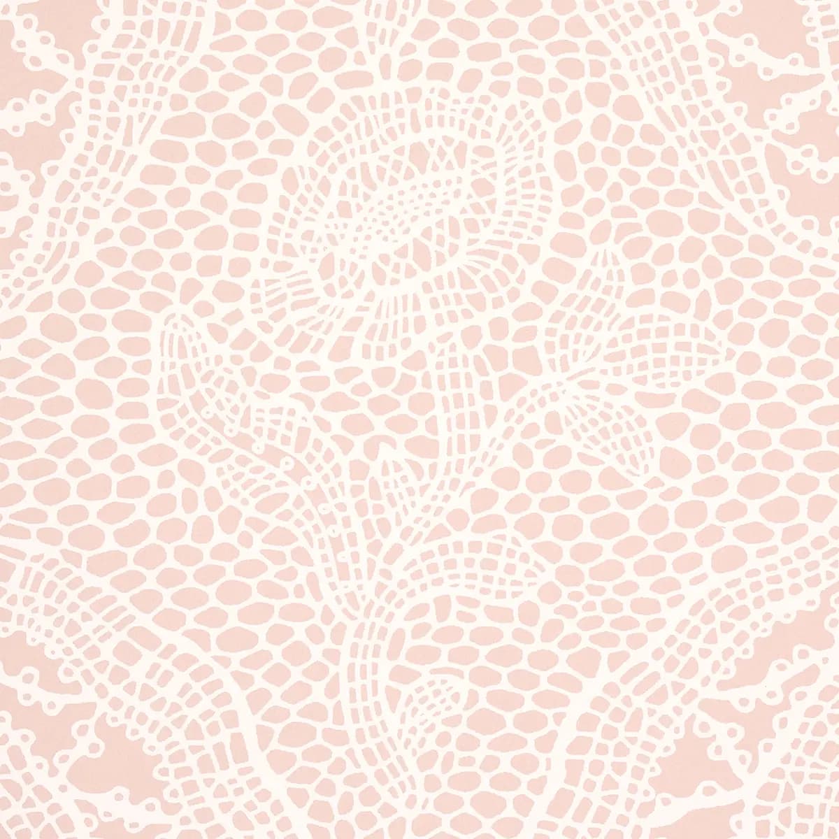 COSETTE LACE_ BLUSH