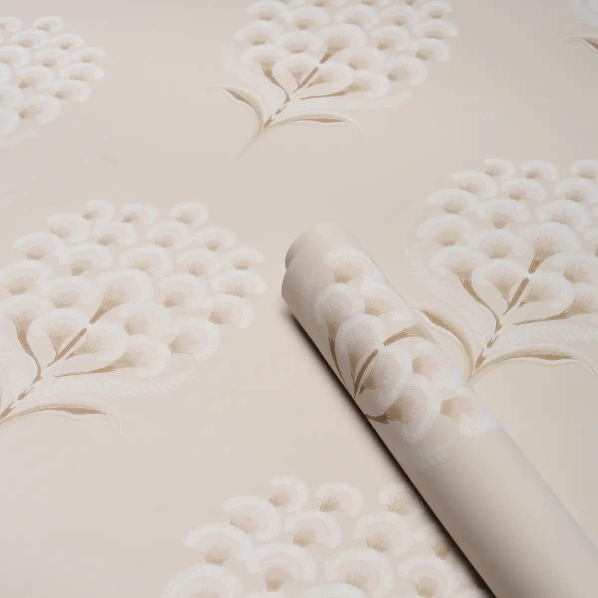 Aurelia_ LIMESTONE