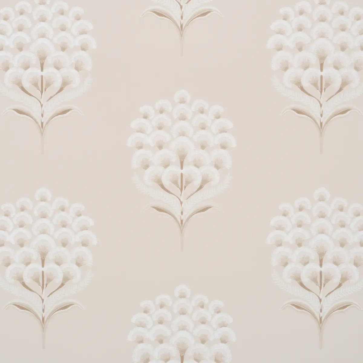Aurelia_ LIMESTONE