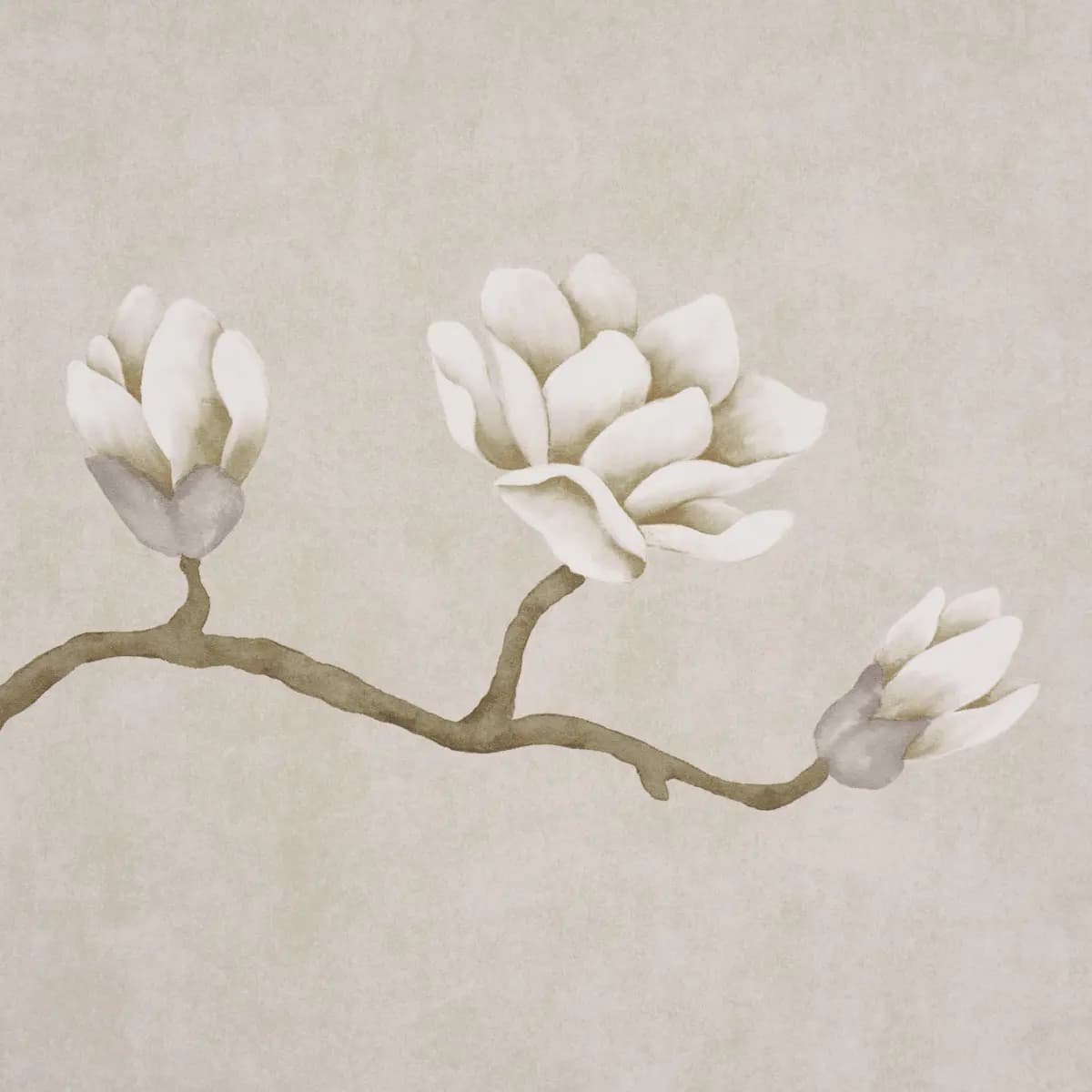 Magnolia Tree_ GRISAILLE