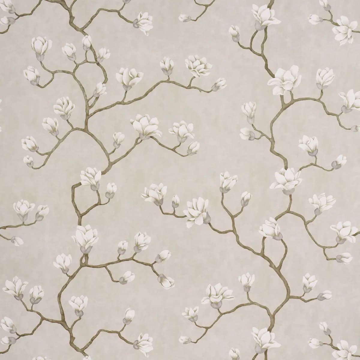 Magnolia Tree_ GRISAILLE