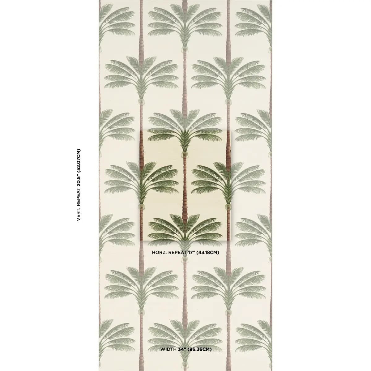 A Palm Is A Palm Sisal_ DAYLIGHT EVERGREEN
