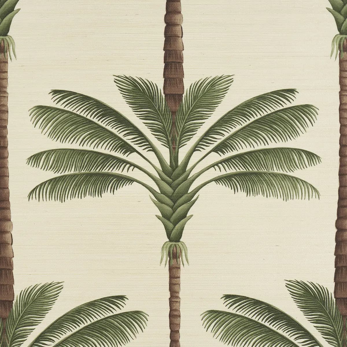 A Palm Is A Palm Sisal_ DAYLIGHT EVERGREEN