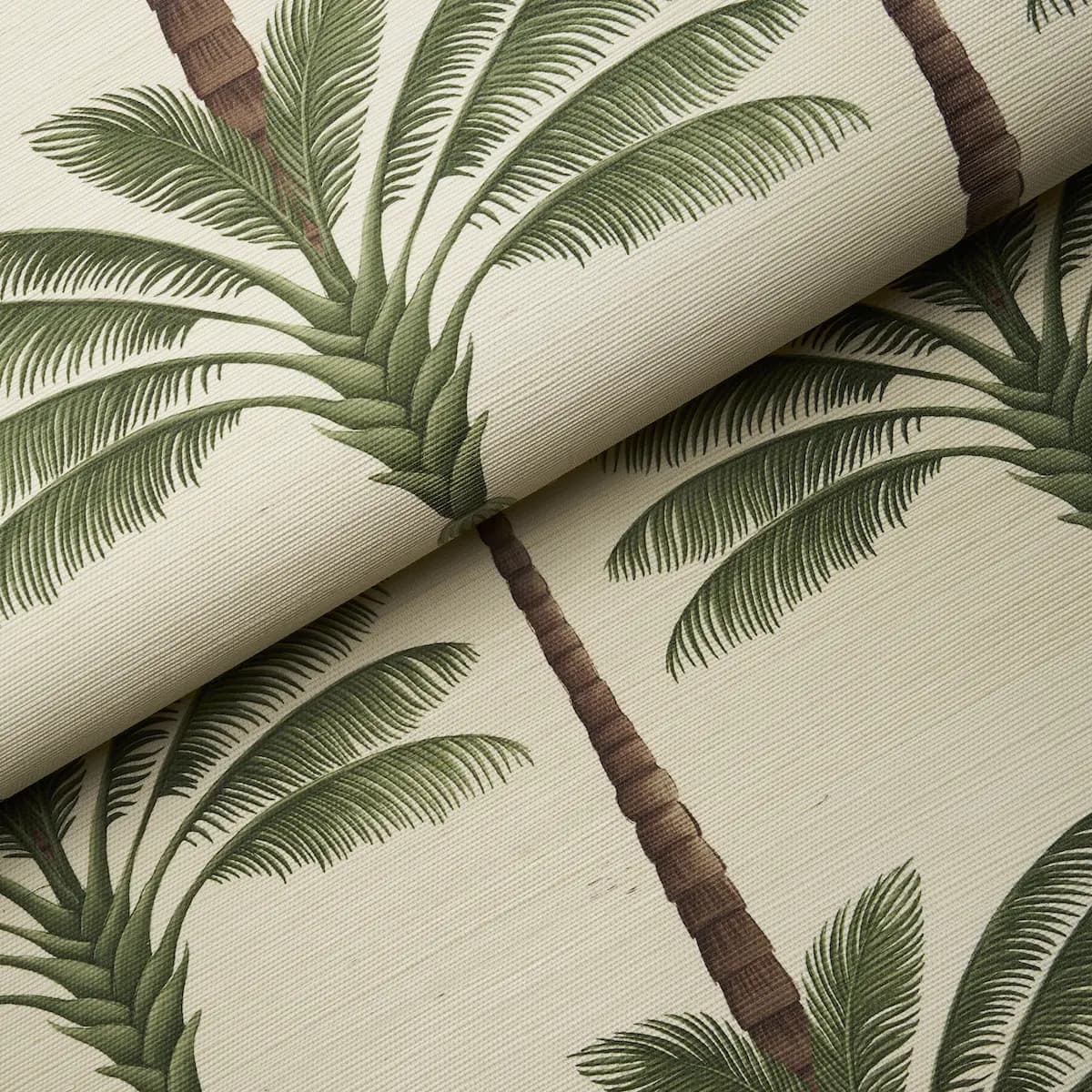 A Palm Is A Palm Sisal_ DAYLIGHT EVERGREEN