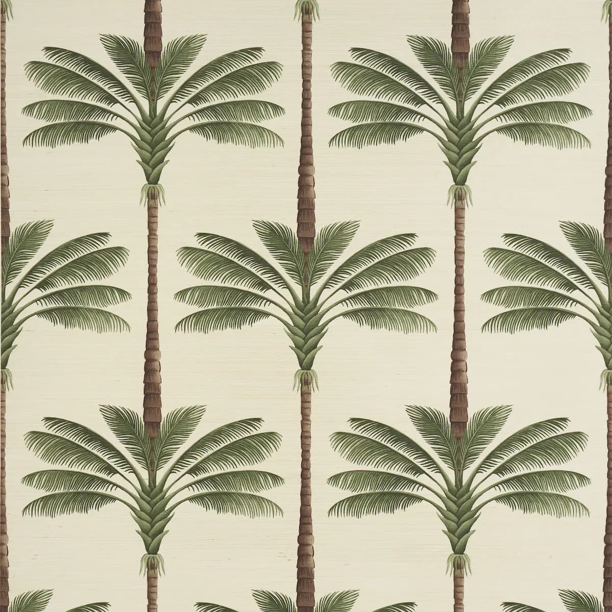 A Palm Is A Palm Sisal_ DAYLIGHT EVERGREEN