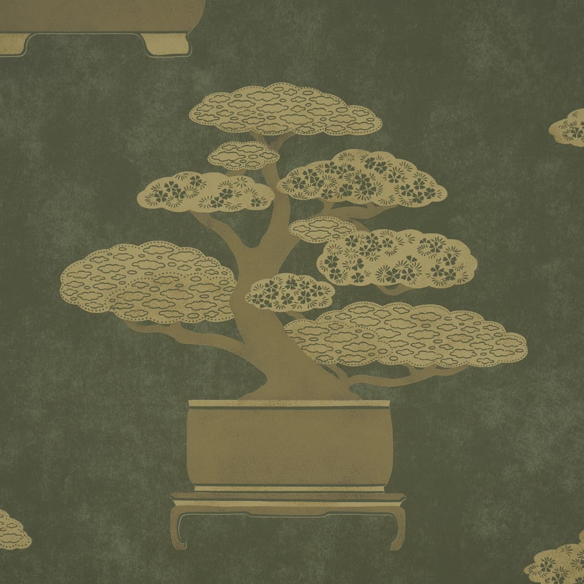 BONSAI TREE_ OLIVE
