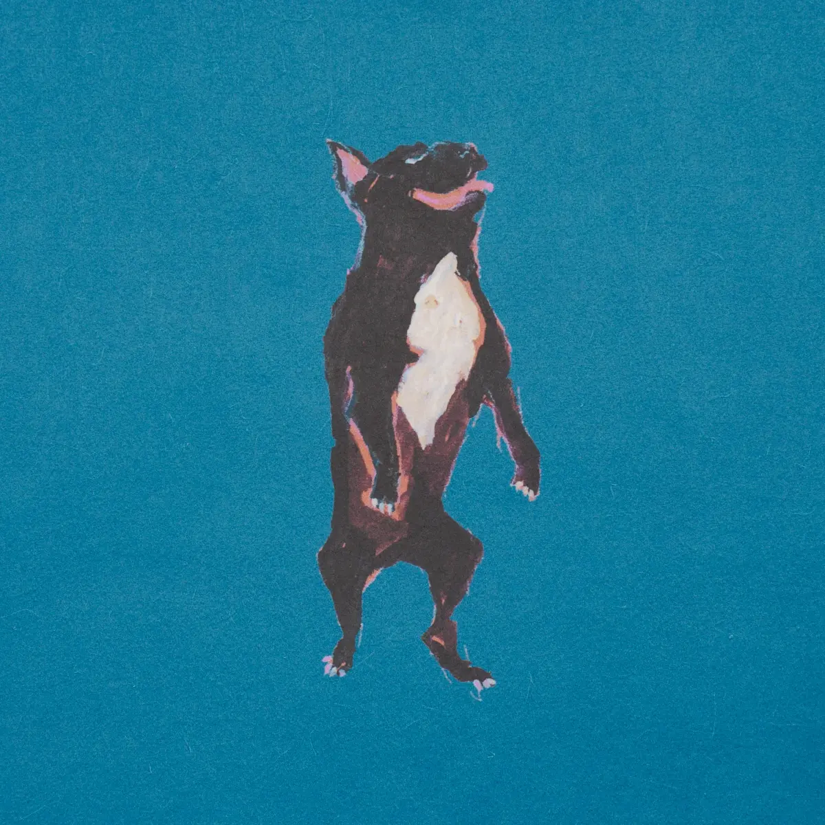 Dogs_ CERULEAN