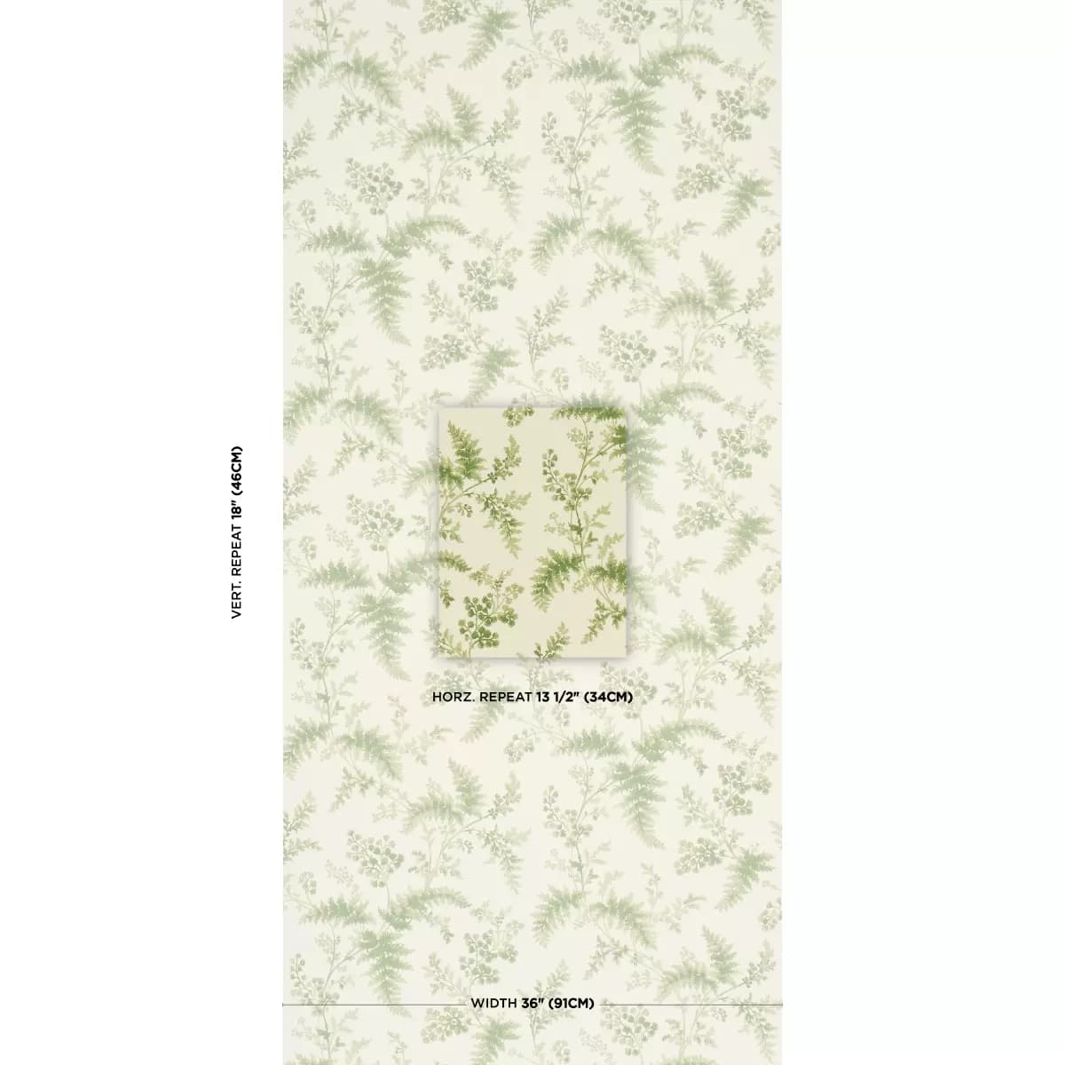 MAIDENHAIR_ MOSS