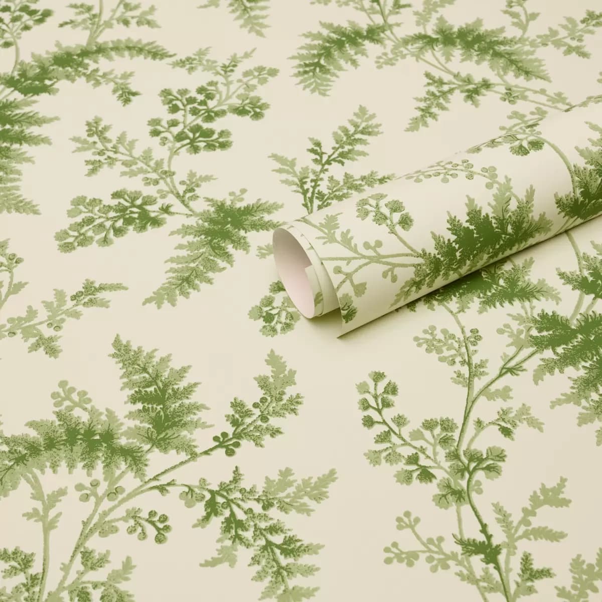 MAIDENHAIR_ MOSS