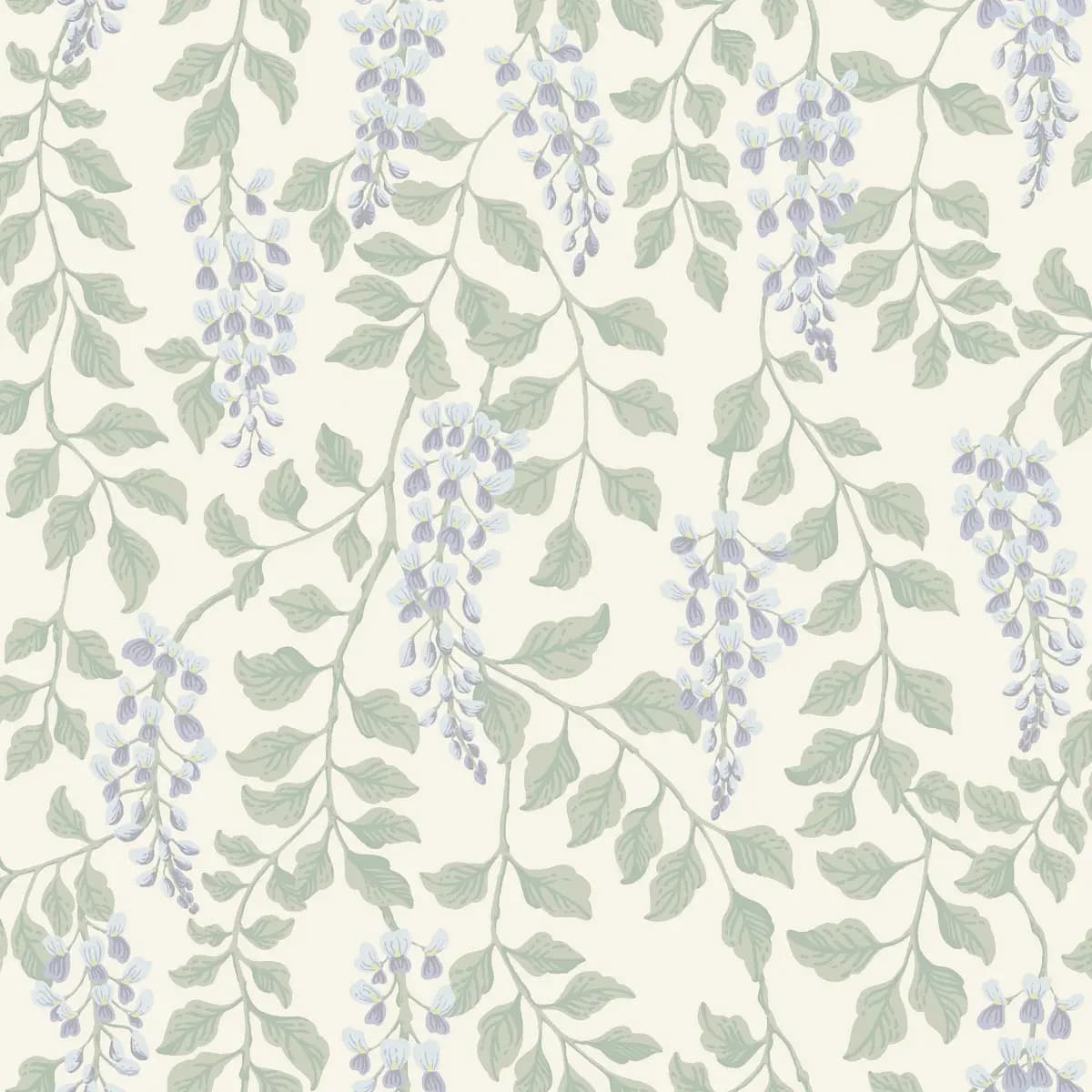 BLÅREGN_ LILAC