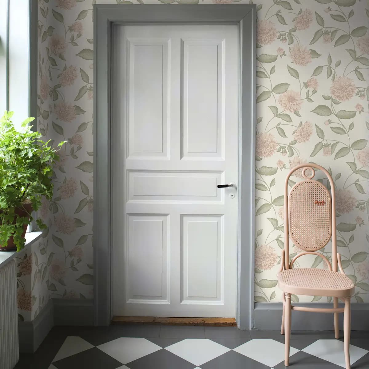 DAHLIADRÖM_ BLUSH