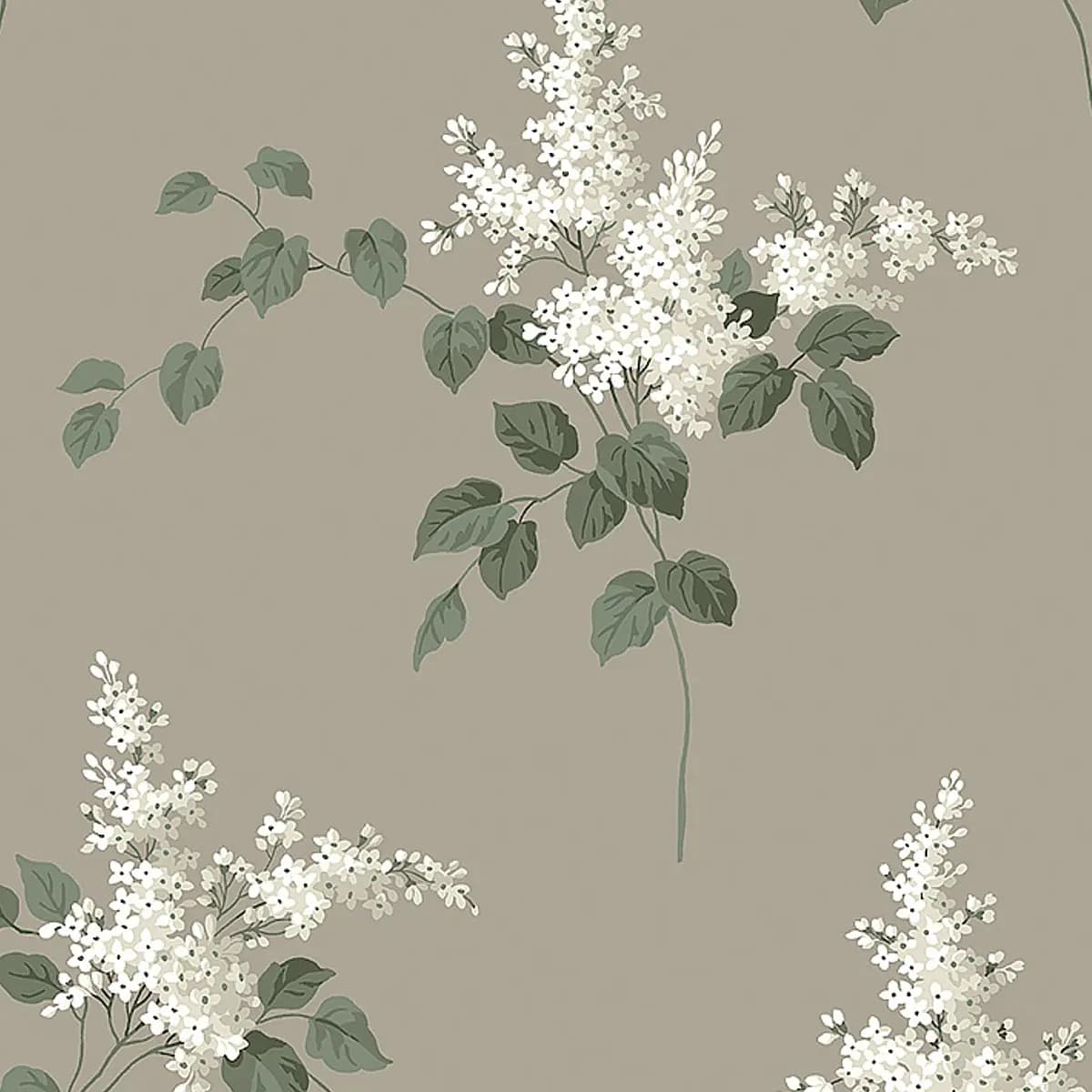 LILACS_ GRISAILLE