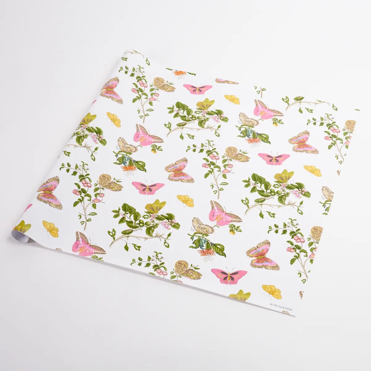 Baudin Butterfly Wrapping Paper_ BLUSH