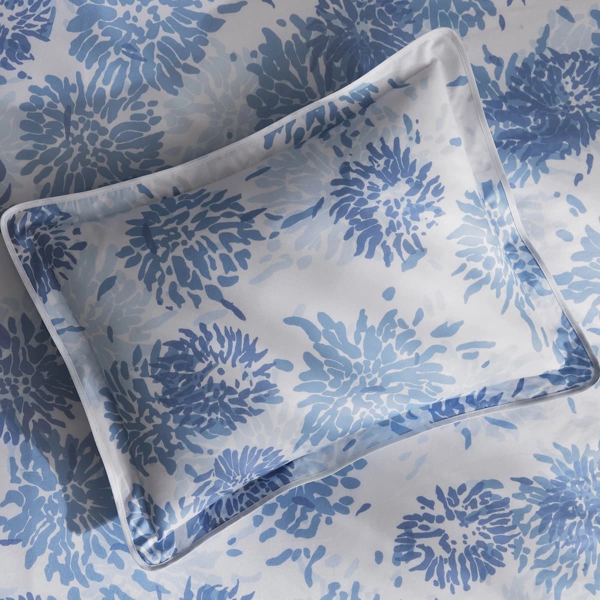 Chrysanthemum Sham_ BLUE