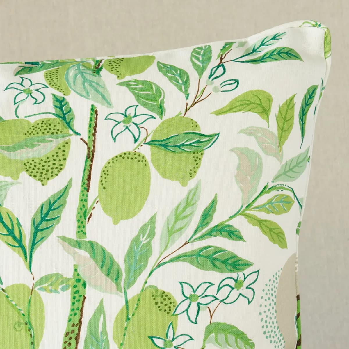 Citrus Garden I/O Pillow_ LEAF
