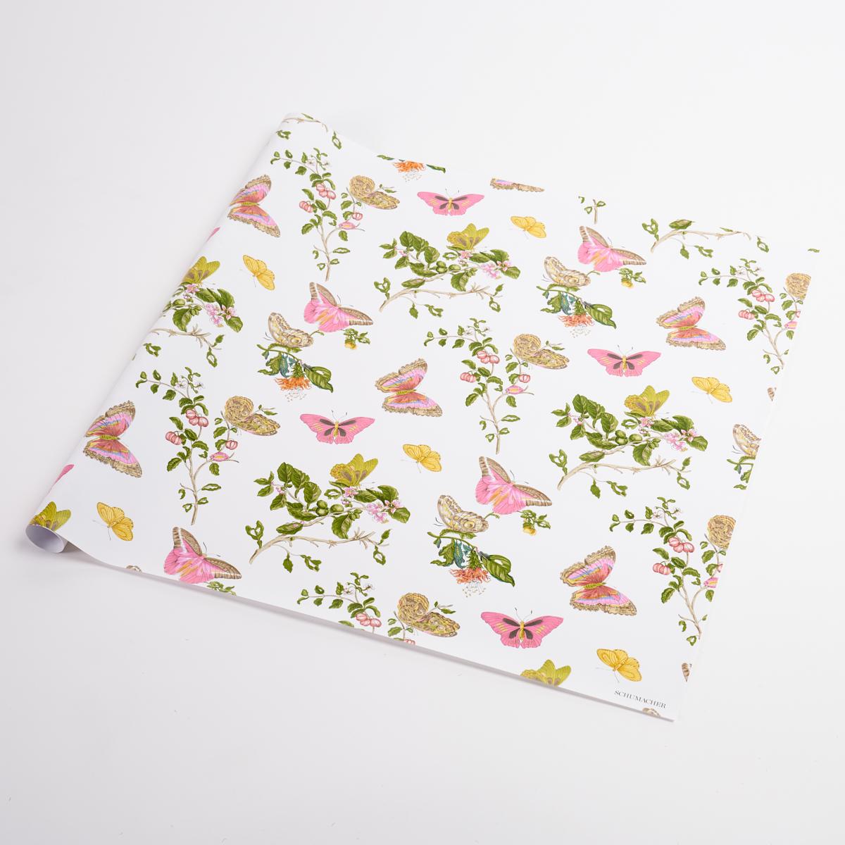 Baudin Butterfly Wrapping Paper_BLUSH