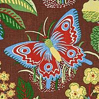 EXOTIC BUTTERFLY_BROWN