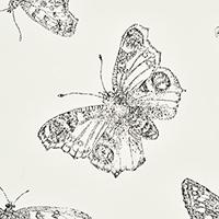 BURNELL BUTTERFLY_IVORY