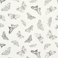 BURNELL BUTTERFLY_IVORY
