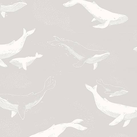 WHALES_GREY