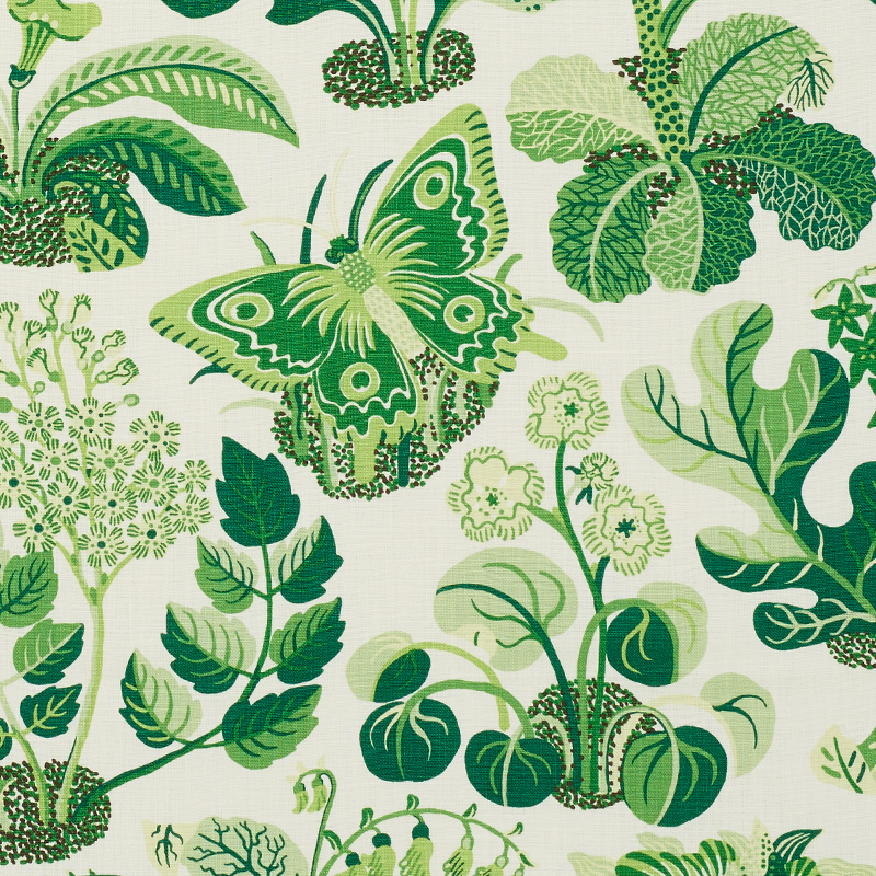 Schumacher Exotic Butterfly Fabric in Leaf