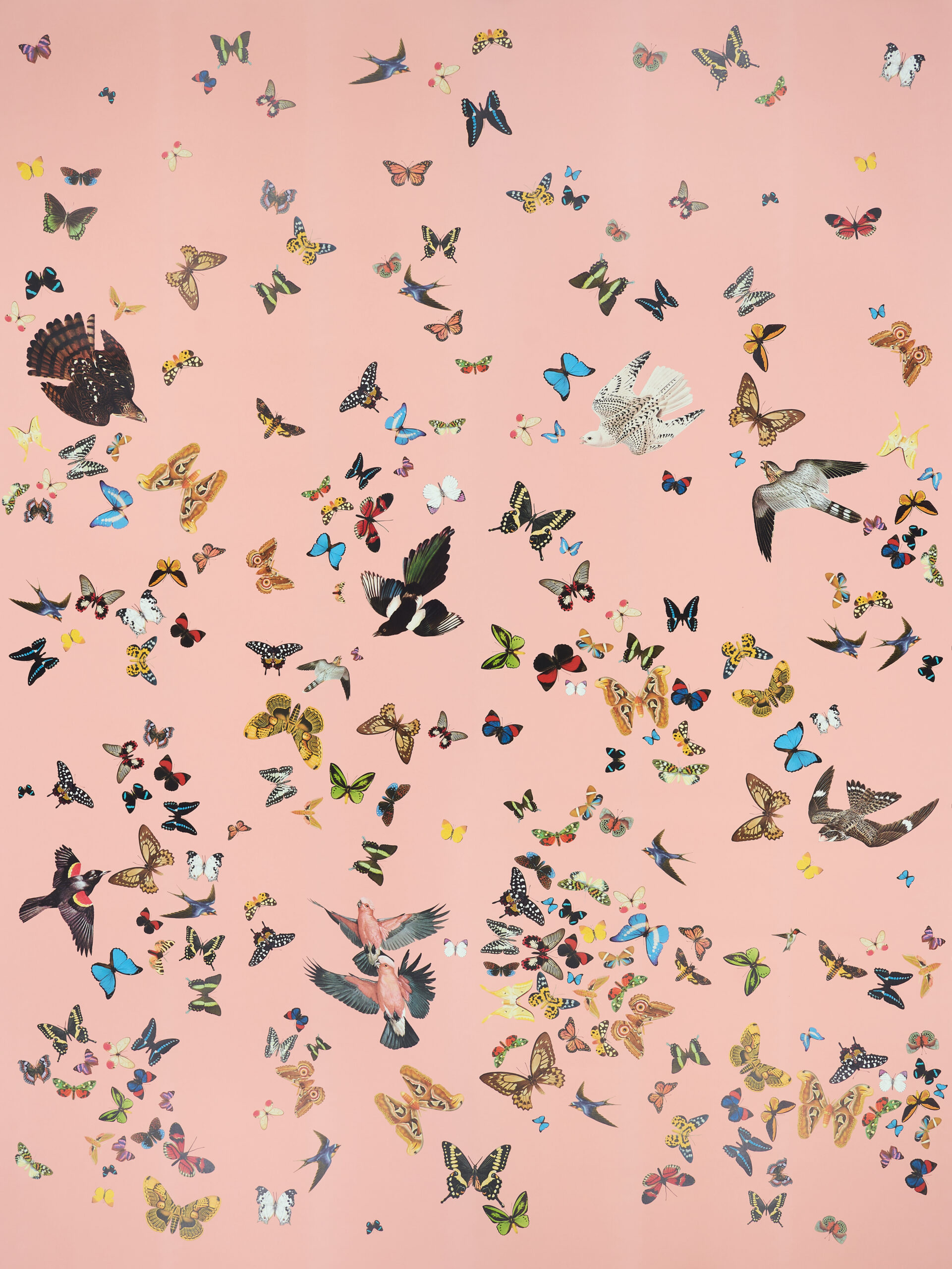 | Flight Pink Queen\'s Panel Schumacher Set - Wallpapers