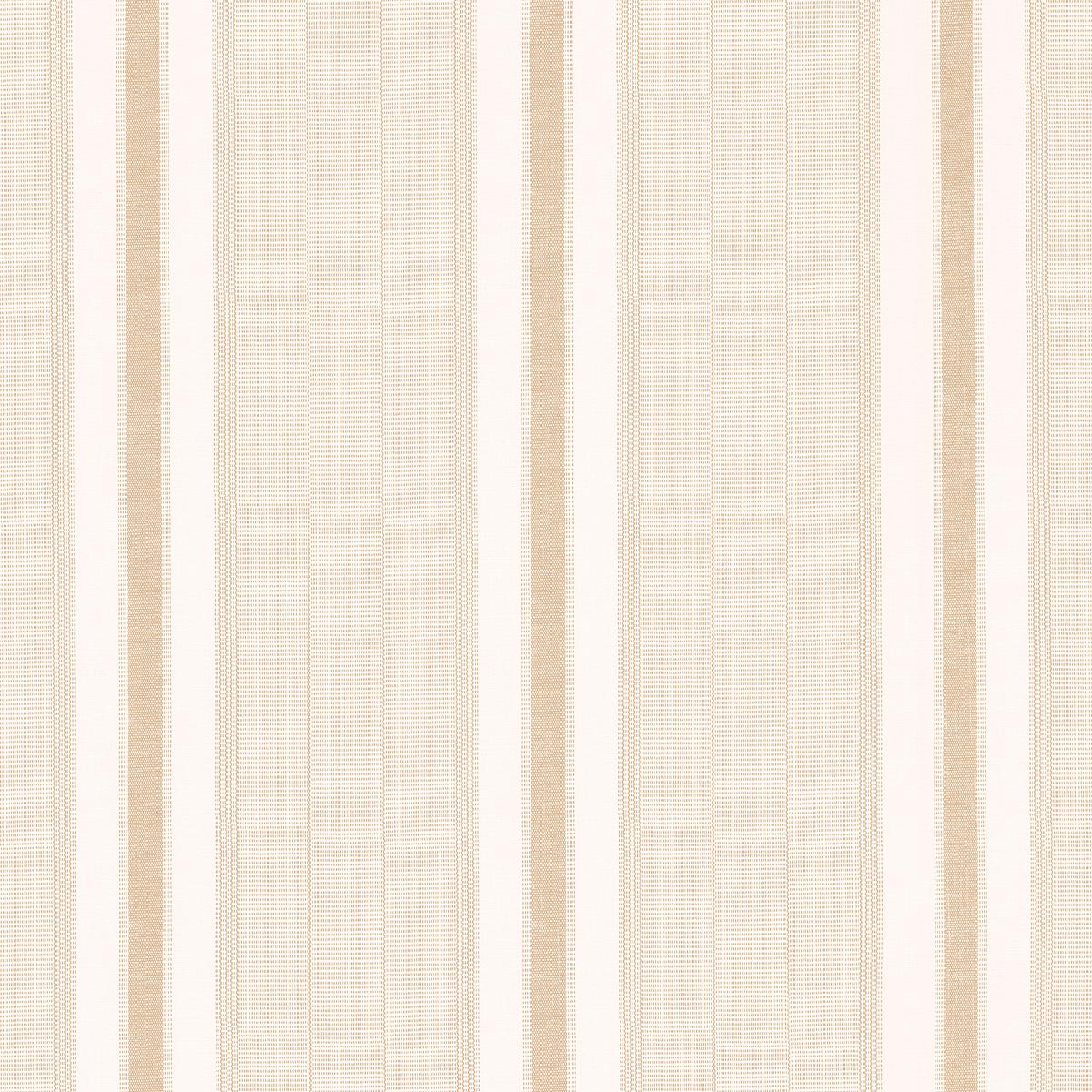 Schumacher Ipala Stripe Vinyl by A Rum Fellow