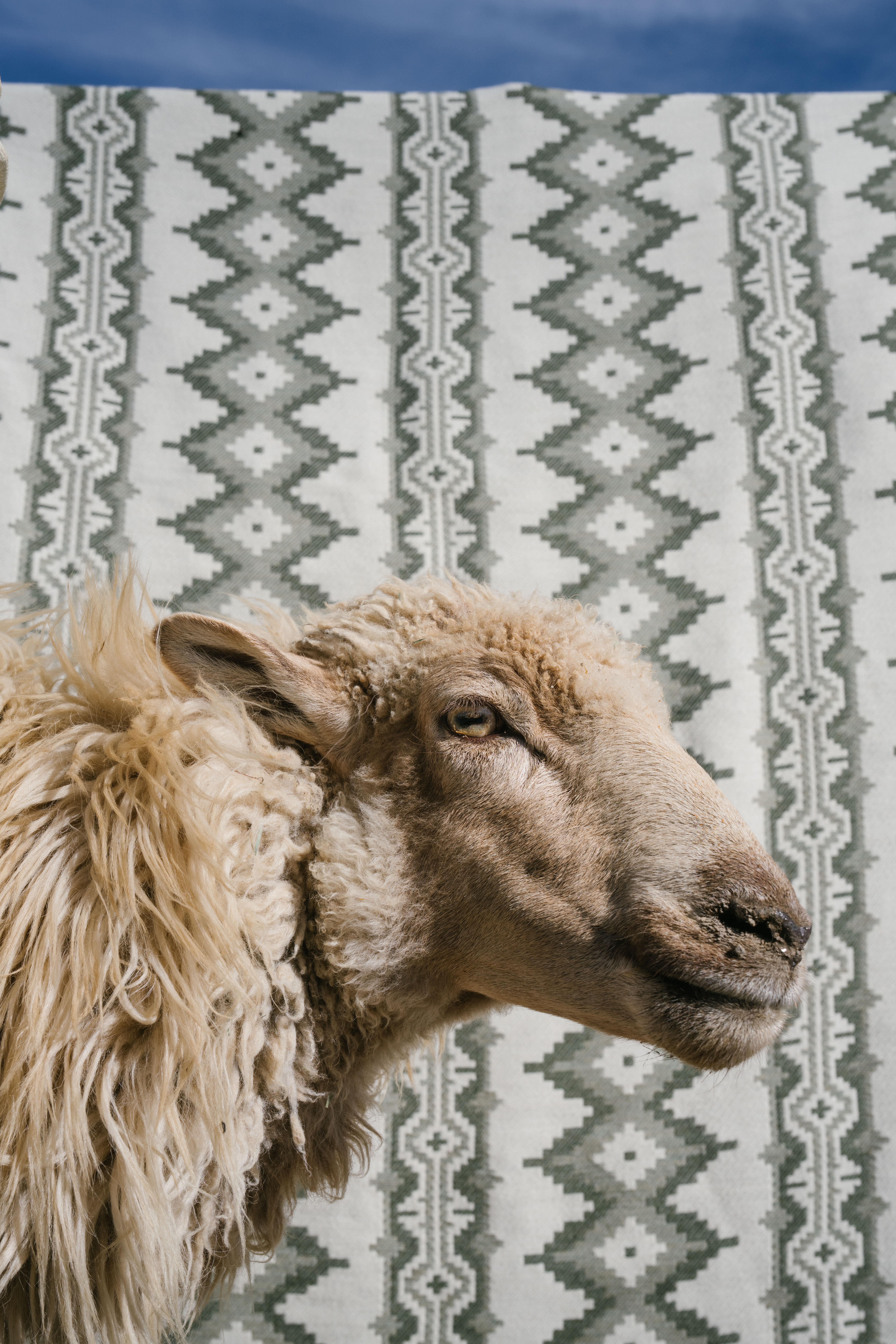 Pathway fabric in Green by Kevin Aspaas for Schumacher