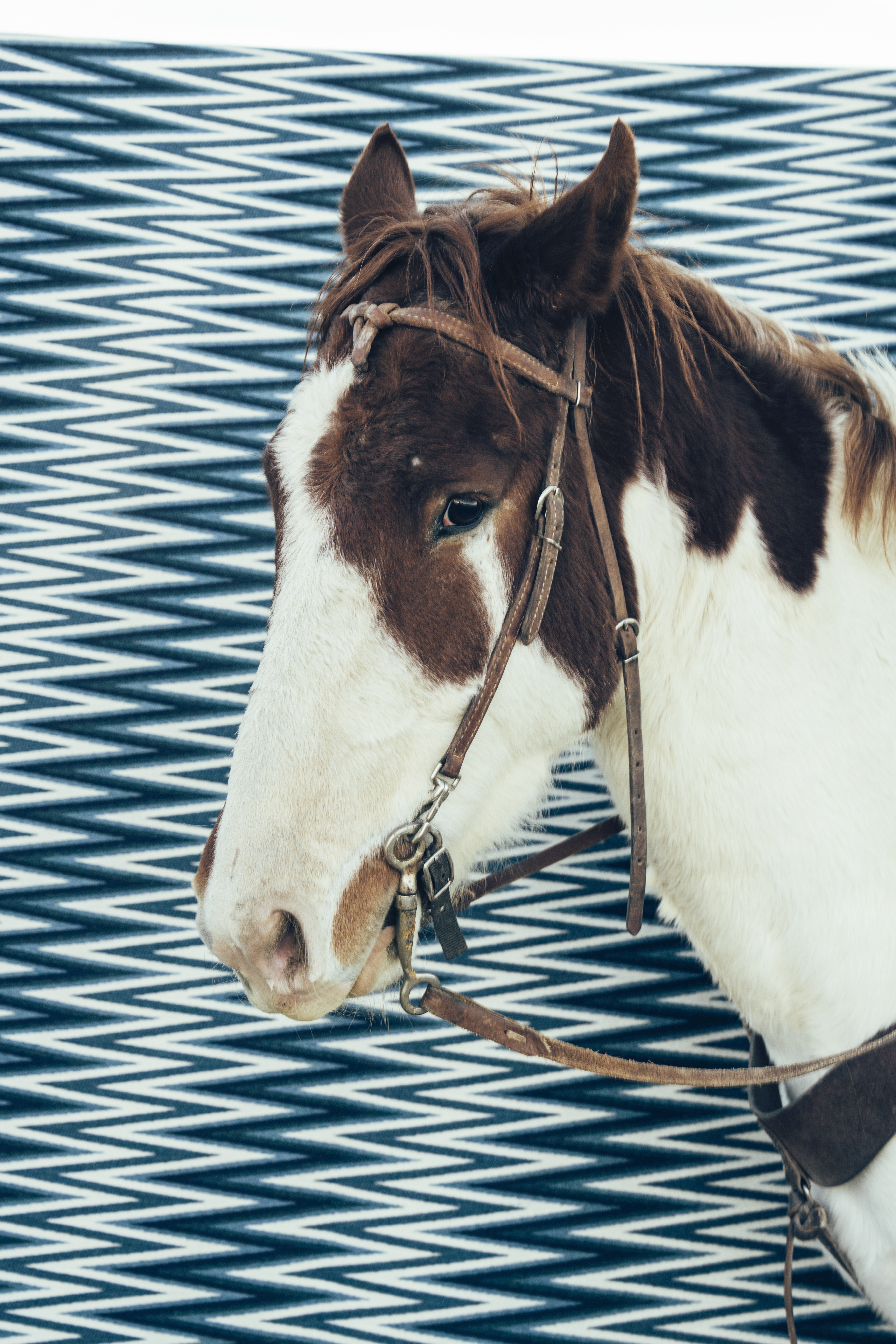 Wedge Weave fabric in Blue by Kevin Aspaas for Schumacher